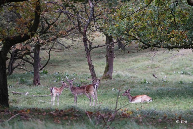 bd_DSC00305 (2).JPG - AWD 2017